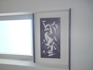 Résidence Albert Premier - 1