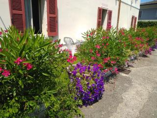 Albergo Grifone 1891 - Peschiera del Garda - 2