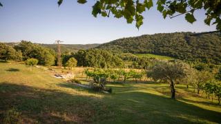 apartma Belveder - Izola - 7