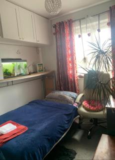 Cosy single room in London Wembley - 0