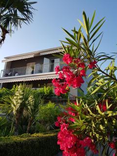 Diana Apartment - Dramalj - 3