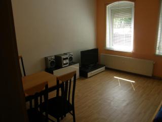 Apartment-Ferienwohnung Dresden-Briesnitz - Dresda - 6