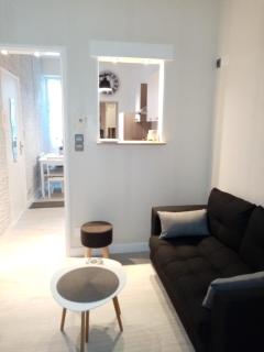 Le petit Saint Bernard - 9