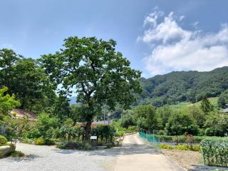 Izmir Pension - Gangneung - 7