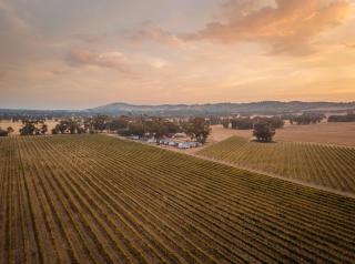 Vineyard Views at Shiraz Republic - Cornella - 1