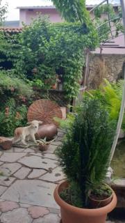 Tamar Guest House - Gori - 2