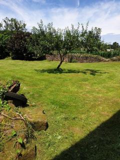 La casa de los abuelos - 7