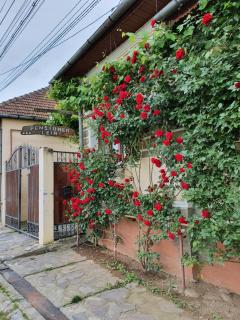 Pensiunea Leia Cârțișoara - 6