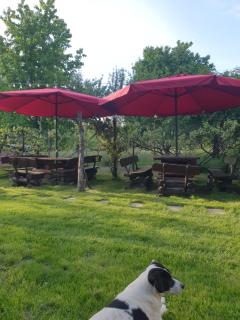 Pensiunea Leia Cârțișoara - 3