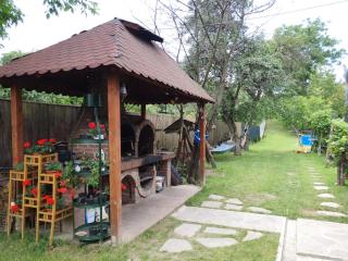 Pensiunea Leia Cârțișoara - 4