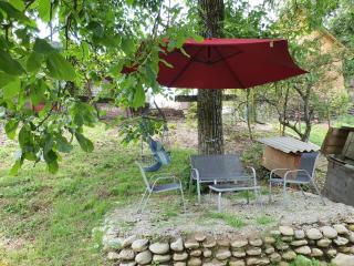 Pensiunea Leia Cârțișoara - 1