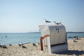 PANORAMIC FeWo SEESCHWALBE - Pool - Familien - strandnah - Hunde - 8