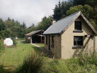 Castaway Cabin - Tuamgraney - 6