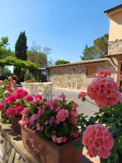 Agriturismo Mezzo Poggio Suvereto - 0