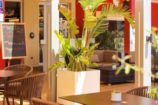 Hotel Paradise Residencial - Cala Ratjada - 4
