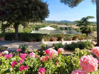 Agriturismo Mezzo Poggio Suvereto - 1