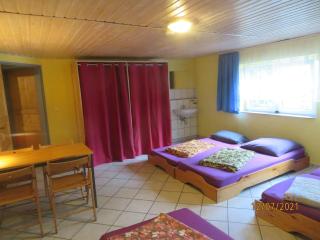 Hostel Waldhaus am Ferienpark-Mehrbett-Gruppenzimmer mit Waschbecken - Mirow - 4
