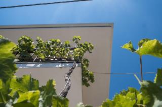Soula Apartments - Ipsos - 3