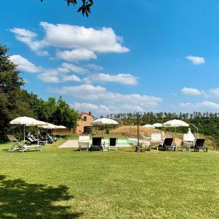 Colle Bertini - Montaione - 6
