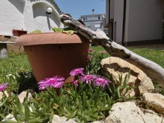 Siana House - Ravda - 8