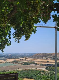 ARODAFNI HOUSE. Unique views and amazing sunsets. - Kouklia - 6