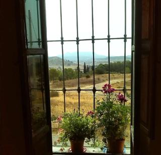 Cortijo Bellavista - Níjar - 7