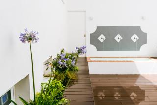 TreeTriana - Siviglia - 7