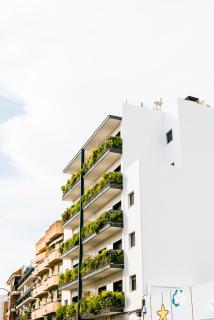 TreeTriana - Seville - 1