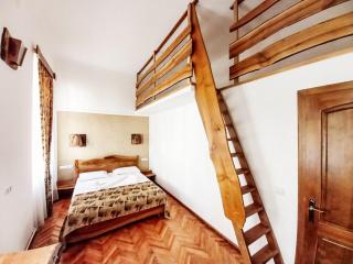 History Apartments Piata Mare - Sibiu - 4
