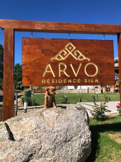 Arvo Residence Sila Lorica - 1