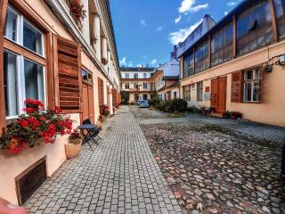 History Apartments Piata Mare - Sibiu - 8