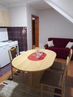 Apartman Dunja - Bajina Bašta - 5