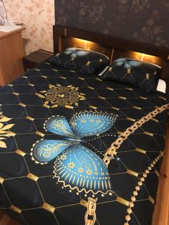 Apartament Prestige Opole Centrum z garażem - Carolinensiel - 1