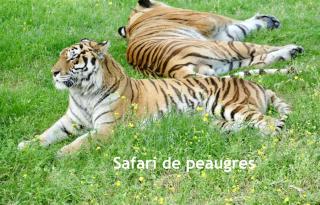 GITES DES ECOLES - Quintenas - 6