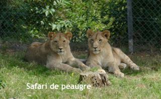 GITES DES ECOLES - 3