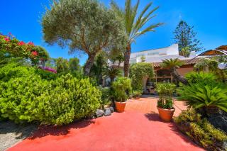 Hotel Pineta - Ischia - 8