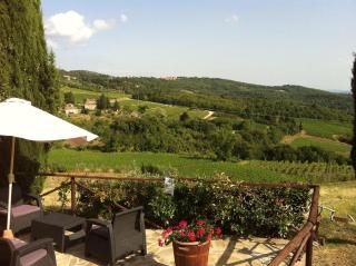 Podere Palazzolo (ADULTS ONLY) - Castellina in Chianti - 5