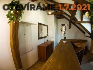 Apartmánový dům 13 Podkroví 2 - Seč u Nasavrk - 9