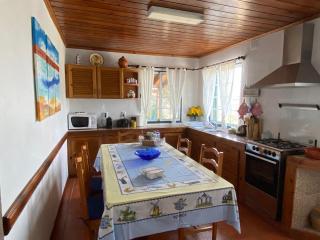 Casa da Costa - Madalena - 1