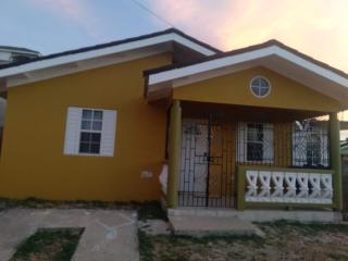 Williams Oasis - Falmouth - 2