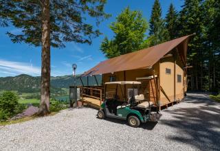 Ferienpark Terrassencamping Süd-See - Walchsee - 9