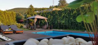 Villa Greenfield - Sarajevo - 4