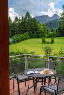 Viva Maria Apartament - Zakopane - 0
