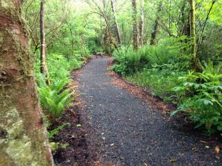 Sheltered Nook On Tillamook Bay - Bay City - 1