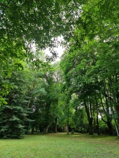 Maison d'hôtes Au Cœur des Lacs - 7