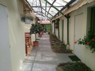 Rastlinky.sk Greenhouse Guestrooms - Bratislava - 6