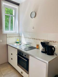Villa FeWo mit separaten Schlafmöglichkeiten, zentral gelegen - Chemnitz - 7