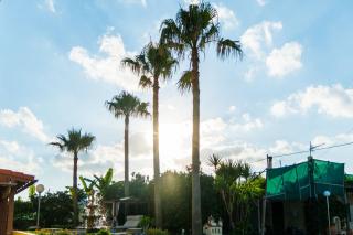 Thalassa Apartments - Kissamos - 1