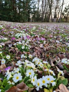 Maison d'hôtes Au Cœur des Lacs - 4