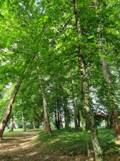 Maison d'hôtes Au Cœur des Lacs - 9